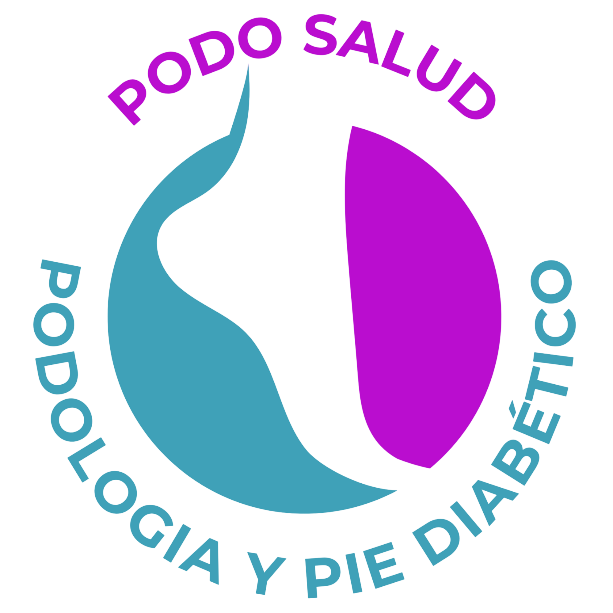 logo sin fondo